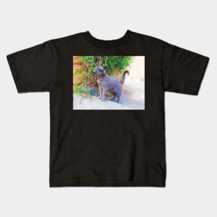 Blue Cat on the Sunny Stairs Kids T-Shirt